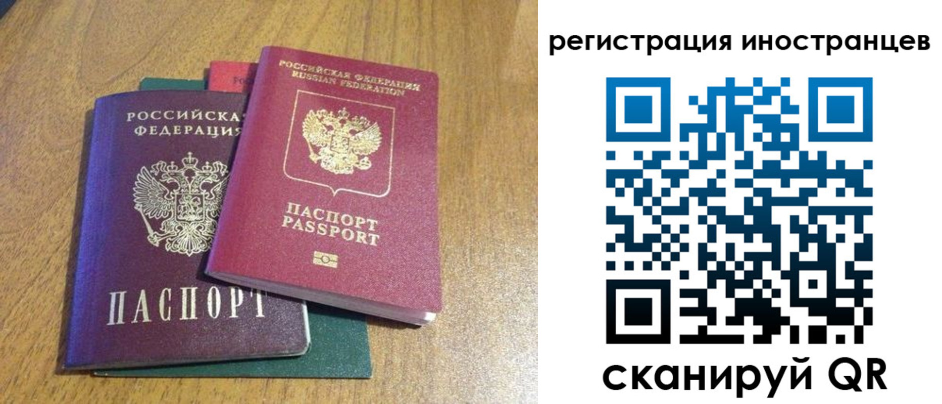 временная регистрация поиск в Советске